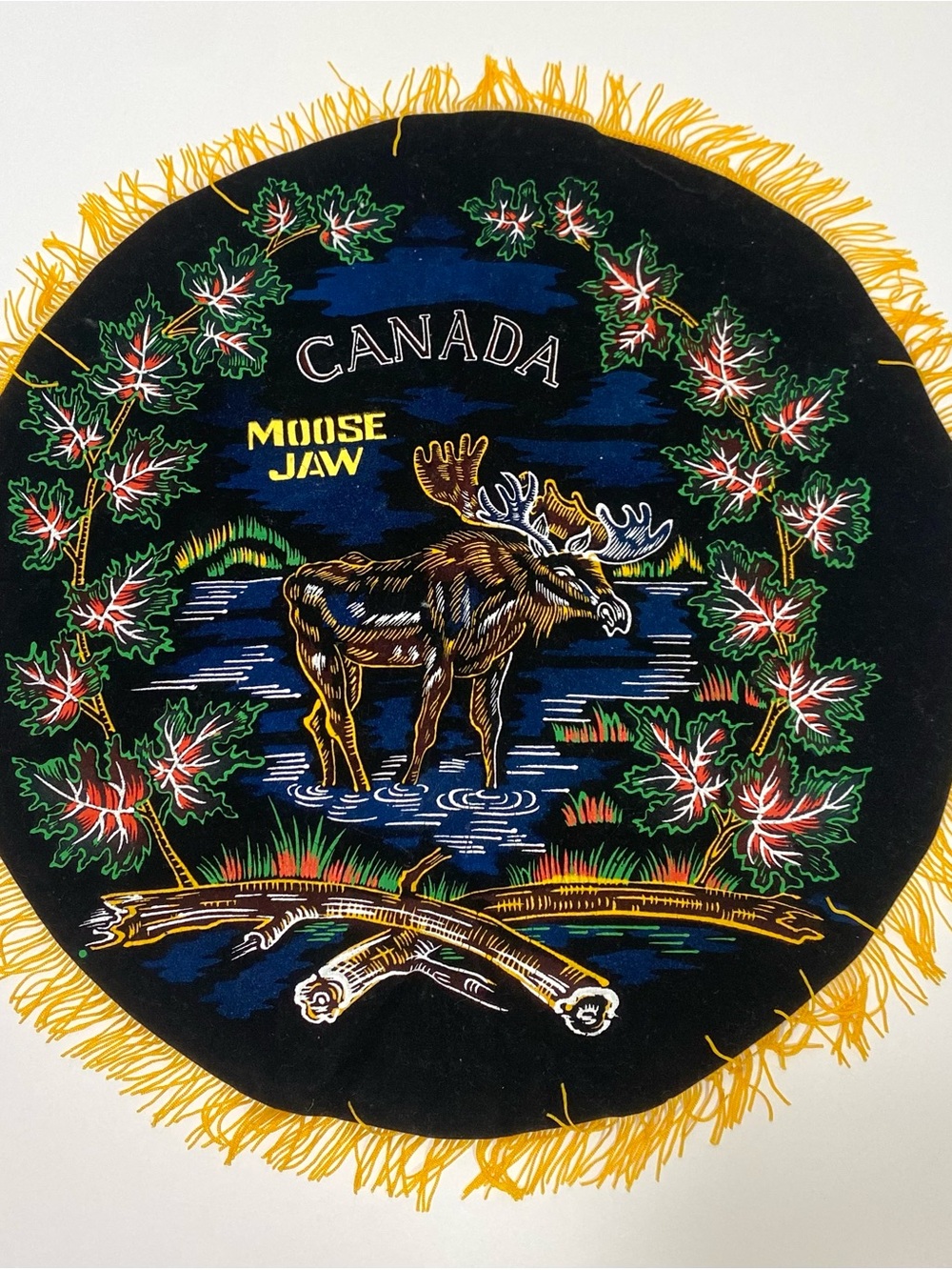 Vintage Midcentury Velvet Canada Moose Jaw Souvenir Throw Pillow Cover Pillowcas